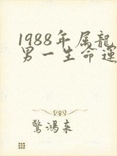 1988年属龙男一生命运如何