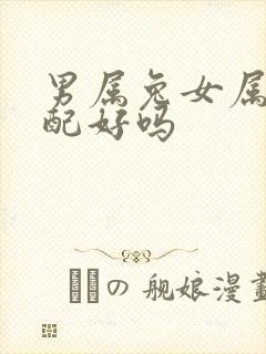 男属兔女属龙婚配好吗