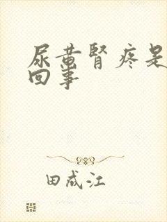 尿黄肾疼是怎么回事封面