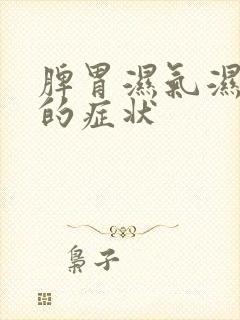 脾胃湿气湿热重的症状