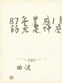 87年农历1月的兔是什么命