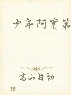 少年阿宾第二部