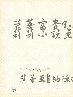 荣华富贵9小王莉莉小说免费阅读封面