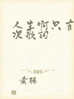 人生啊只有这一次歌词