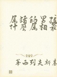 属猪的男孩子和什么属相最配