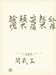 脸颊突然红了一块不痛不痒封面