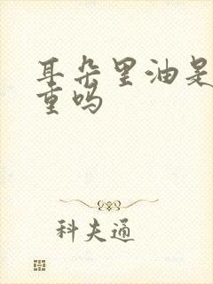 耳朵里油是湿气重吗