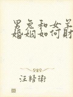 男兔和女羊相配婚姻如何财运又如何