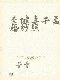 李健妻子孟小蓓婚纱照