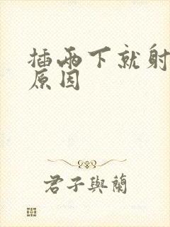 插两下就射什么原因