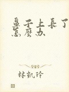 鼻子上长了脓痘怎么办封面