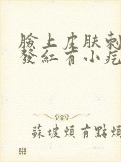 脸上皮肤刺痛痒发红有小疙瘩