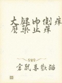 大腿内侧痒用什么药止痒