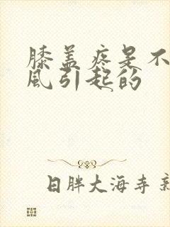 膝盖疼是不是痛风引起的