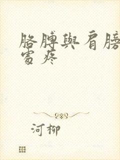 胳膊与肩膀连接处疼