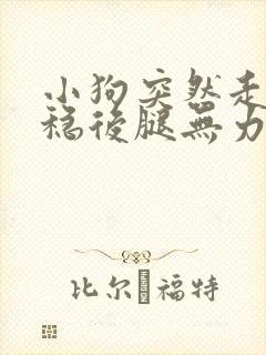 小狗突然走路不稳后腿无力