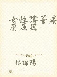 女性阴蒂瘙痒什么原因