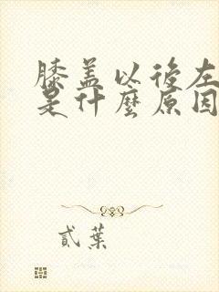 膝盖以后左边疼是什么原因