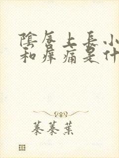 阴唇上长小颗粒和痒痛是什么病封面