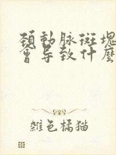 颈动脉斑块严重会导致什么后果