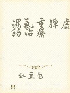 湿气重脾虚气虚的治疗