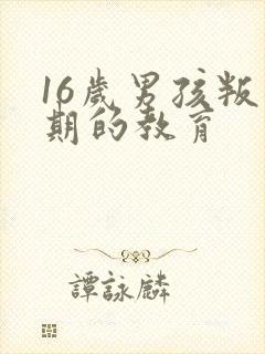 16岁男孩叛逆期的教育