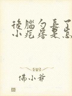 后脑勺长了一个小疙瘩是怎么回事