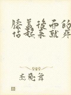 膝盖后面的腿窝站起来就疼