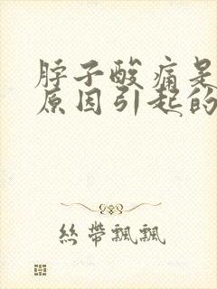 脖子酸痛是什么原因引起的