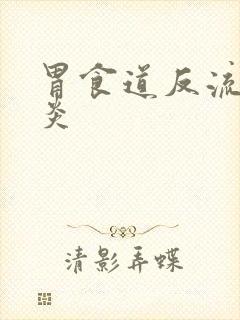 胃食道反流性胃炎封面