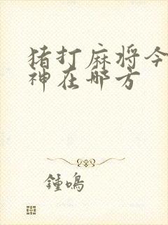 猪打麻将今天财神在哪方