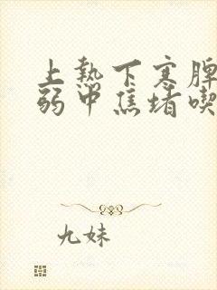 上热下寒脾胃虚弱中焦堵吃什么中成药