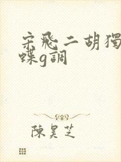 宋飞二胡独奏化蝶g调