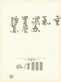 脾胃湿气重火大怎么办