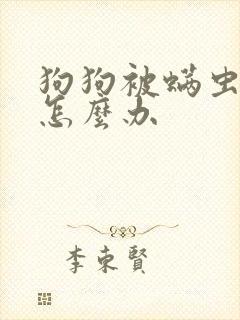 狗狗被螨虫感染怎么办