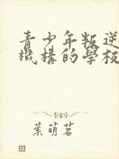 青少年叛逆管教机构的学校封面