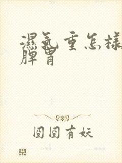 湿气重怎样调理脾胃