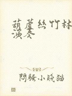 葫芦丝竹林深处演奏封面