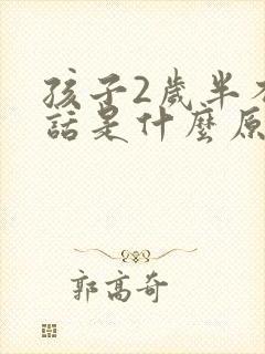 孩子2岁半不说话是什么原因