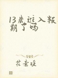 13岁进入叛逆期了吗