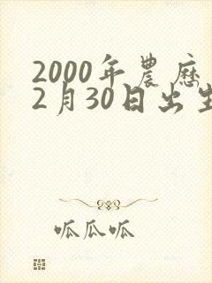 2000年农历2月30日出生命运