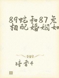 89蛇和87兔相配婚姻如何