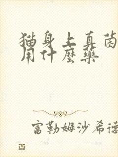 猫身上真菌感染用什么药