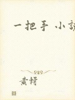 一把手 小说