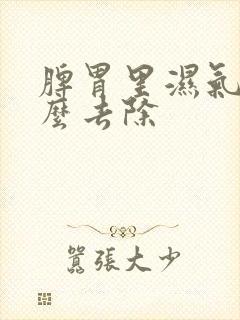 脾胃里湿气重怎么去除