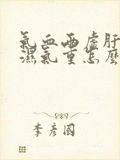 气血两虚肝火旺湿气重怎么调理