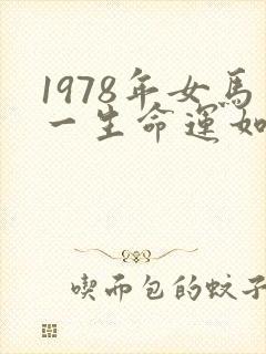 1978年女马一生命运如何