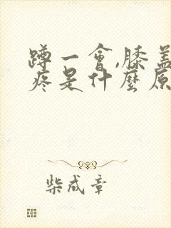 蹲一会,膝盖窝疼是什么原因