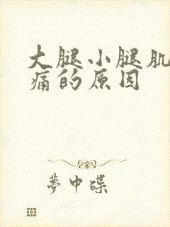 大腿小腿肌肉酸痛的原因封面