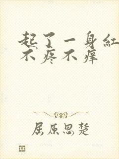 起了一身红疹子不疼不痒